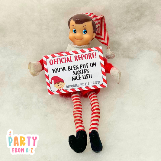 Christmas BOY Elf Official Warnings/Report Cards Elf Prop Elf Antics PDF DIGITAL