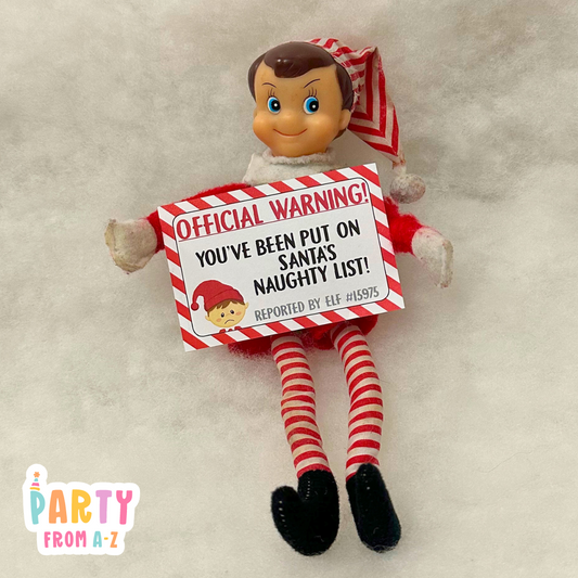 Christmas BOY Elf Official Warnings/Report Cards Elf Prop Elf Antics