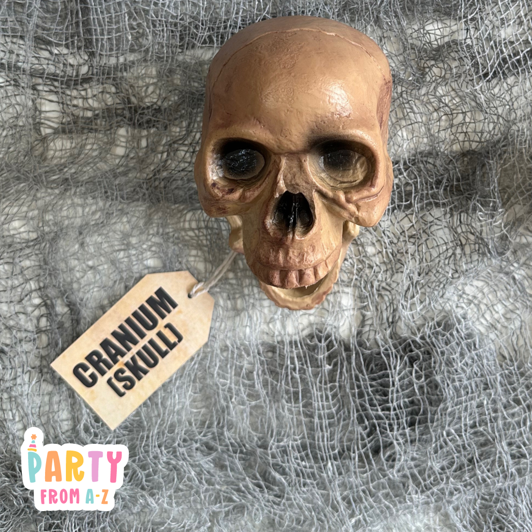 Skeleton Bone Name Tags | Printed and Ready to use