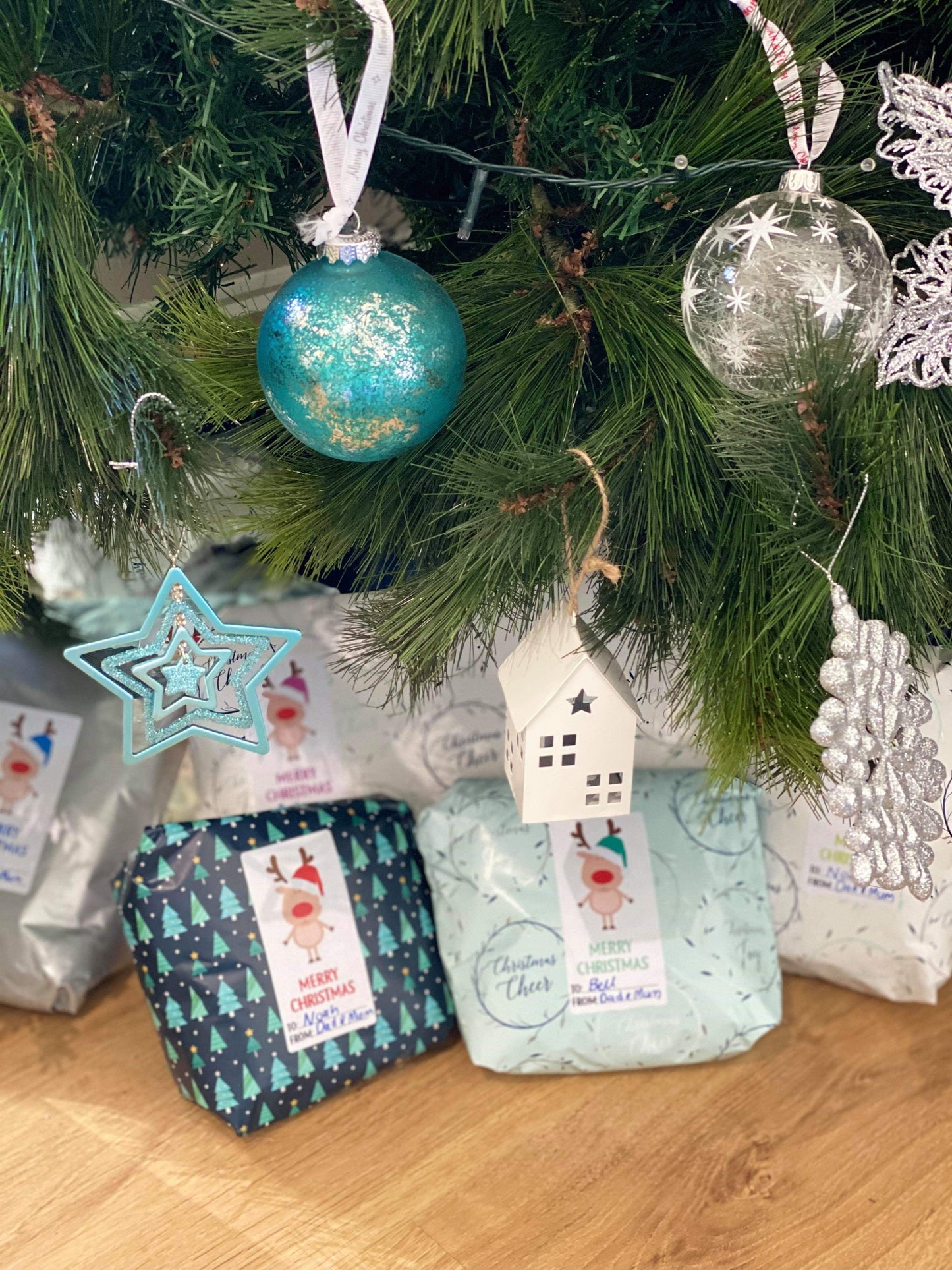 12 Pack Adhesive Gift Tags Labels Reindeer