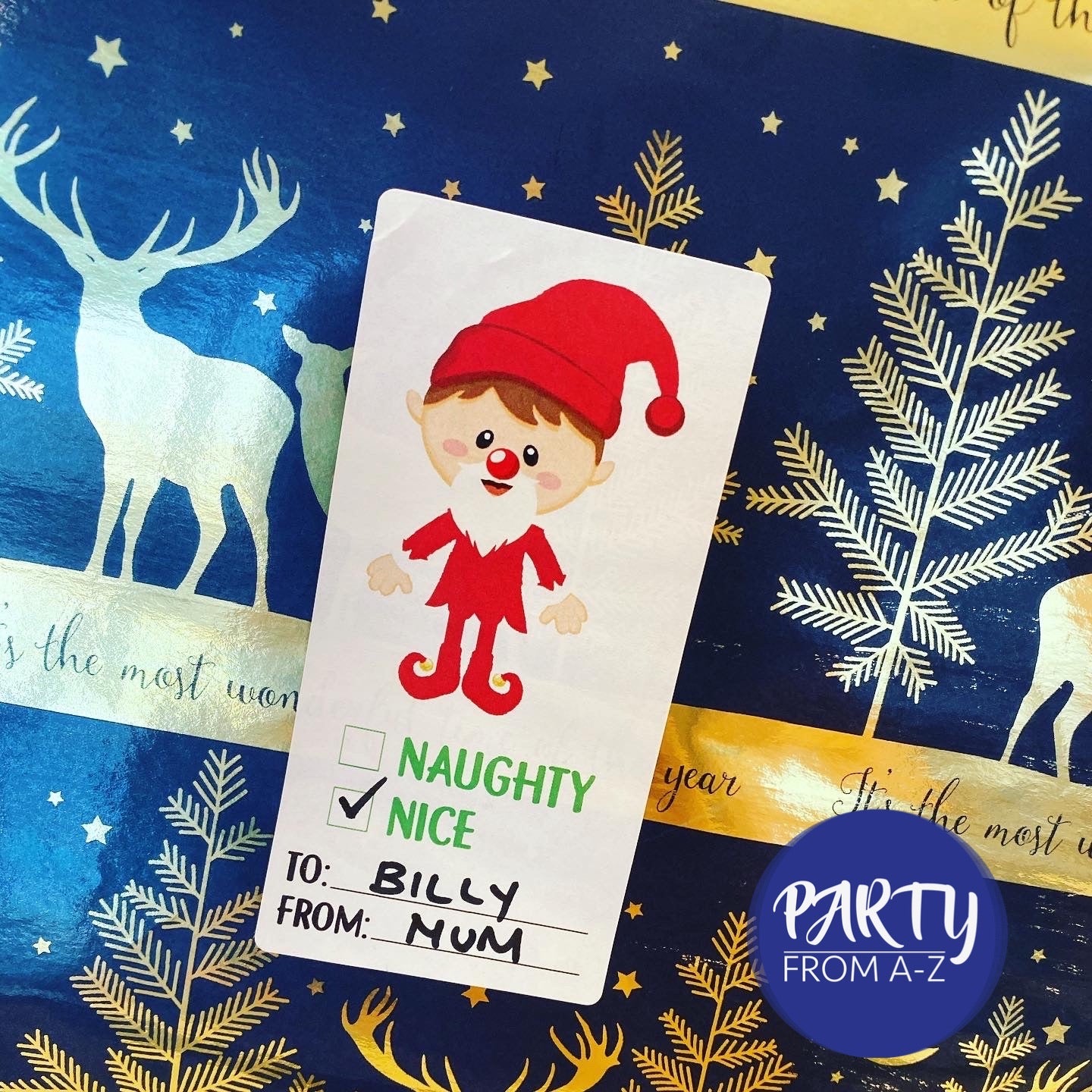 12 Pack Adhesive Gift Tags Labels Cheeky Elf Design 1